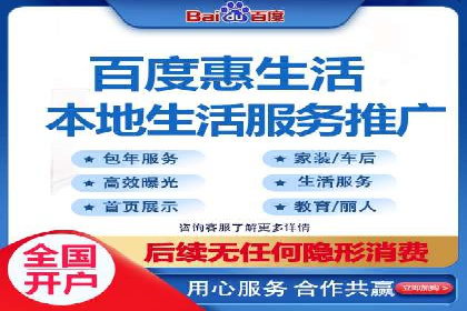 某电商平台的SEM推广实践与效果展示